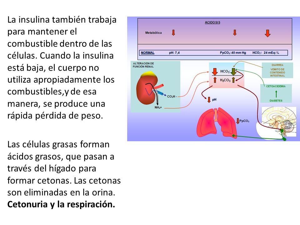 diabetes respiración rápida diabetes respiración rápida
